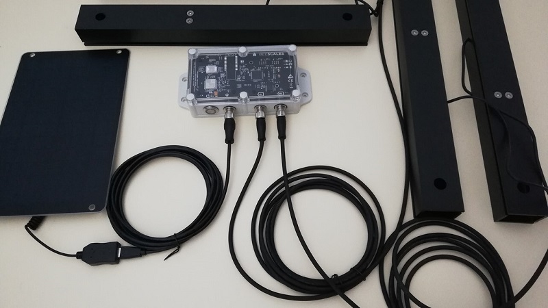 Пчелиных весов